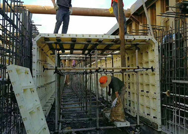 중국 콘크리트 벽 150 * 40 * 8cm 긴 서비스 기간 동안 재사용할 수 있는 모듈 플라스틱 거푸집 공사 협력 업체