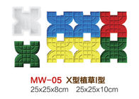 중국 고강도 플라스틱 도보 제작자 형, X - 차도를 위한 구체적인 형을 타자를 치십시오 회사